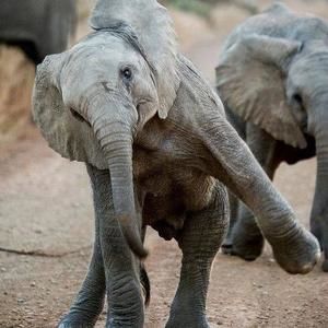 Meet your Posher, Monte